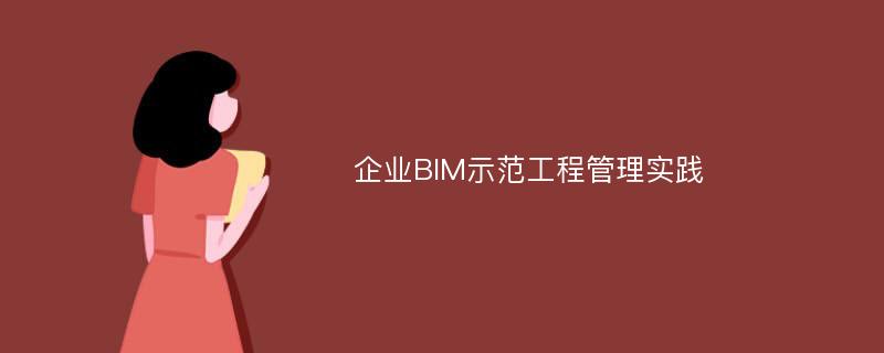 企业BIM示范工程管理实践