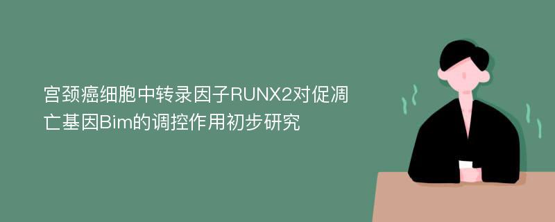 宫颈癌细胞中转录因子RUNX2对促凋亡基因Bim的调控作用初步研究