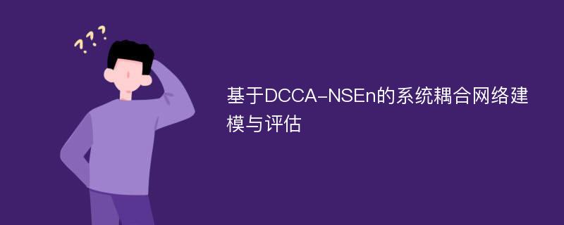 基于DCCA-NSEn的系统耦合网络建模与评估