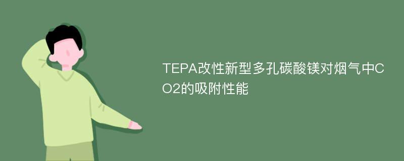 TEPA改性新型多孔碳酸镁对烟气中CO2的吸附性能