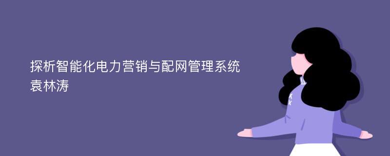 探析智能化电力营销与配网管理系统袁林涛