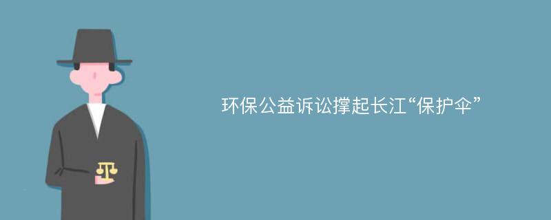 环保公益诉讼撑起长江“保护伞”