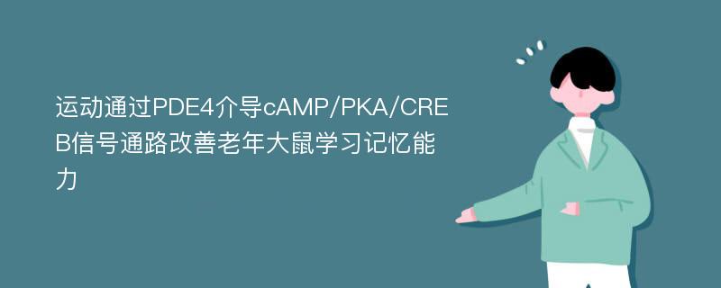 运动通过PDE4介导cAMP/PKA/CREB信号通路改善老年大鼠学习记忆能力