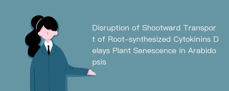 Disruption of Shootward Transport of Root-synthesized Cytokinins Delays Plant Senescence in Arabidopsis