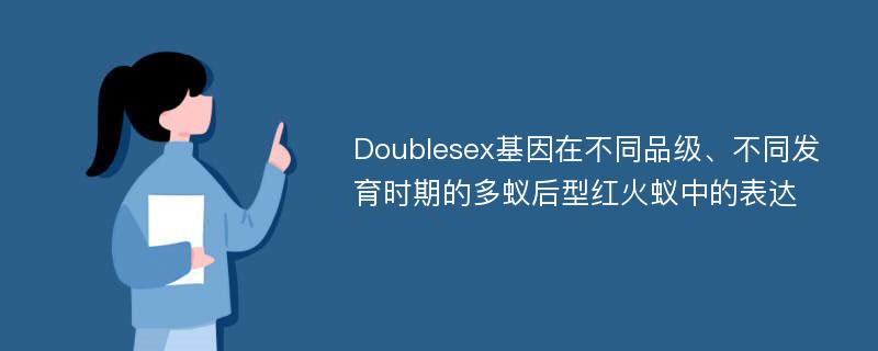 Doublesex基因在不同品级、不同发育时期的多蚁后型红火蚁中的表达