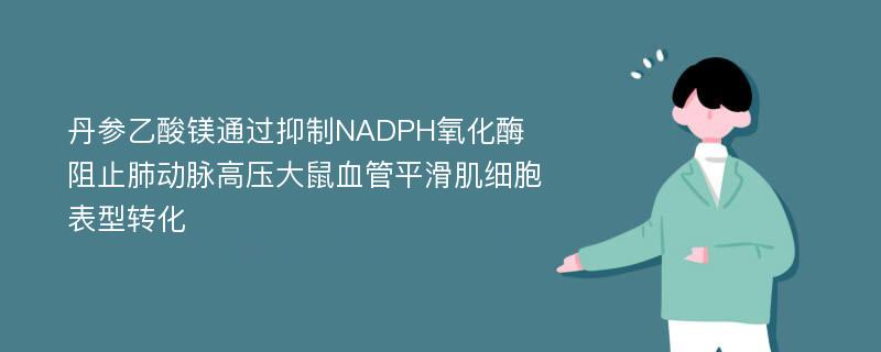 丹参乙酸镁通过抑制NADPH氧化酶阻止肺动脉高压大鼠血管平滑肌细胞表型转化