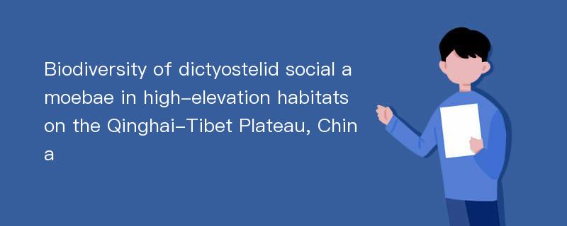 Biodiversity of dictyostelid social amoebae in high-elevation habitats on the Qinghai-Tibet Plateau, China