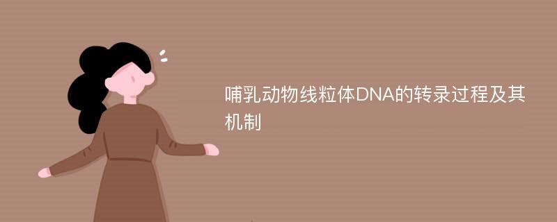 哺乳动物线粒体DNA的转录过程及其机制