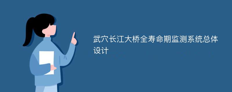 武穴长江大桥全寿命期监测系统总体设计