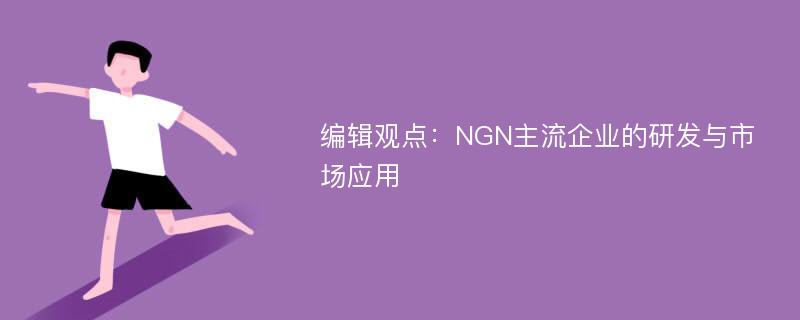 编辑观点：NGN主流企业的研发与市场应用