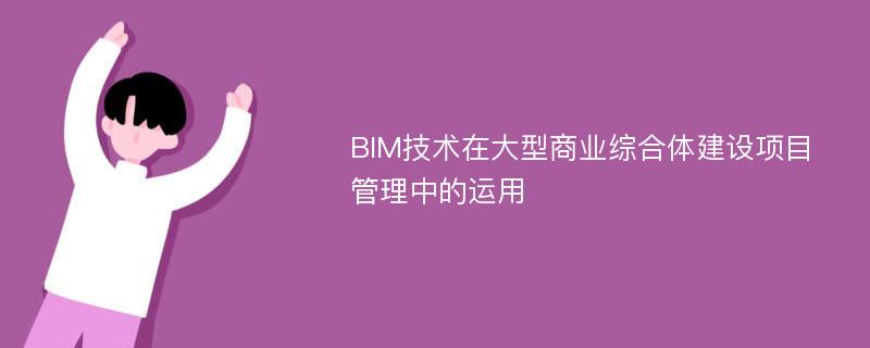 BIM技术在大型商业综合体建设项目管理中的运用