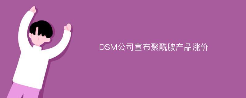 DSM公司宣布聚酰胺产品涨价